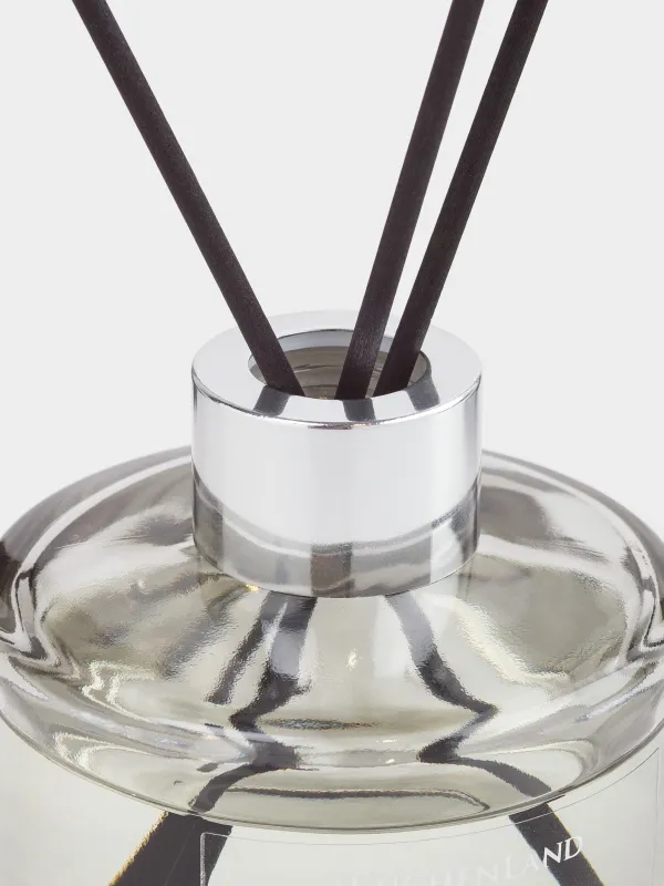 Ароматический диффузор, 140 мл, серый, Cinnamon, Nocturne, image-1