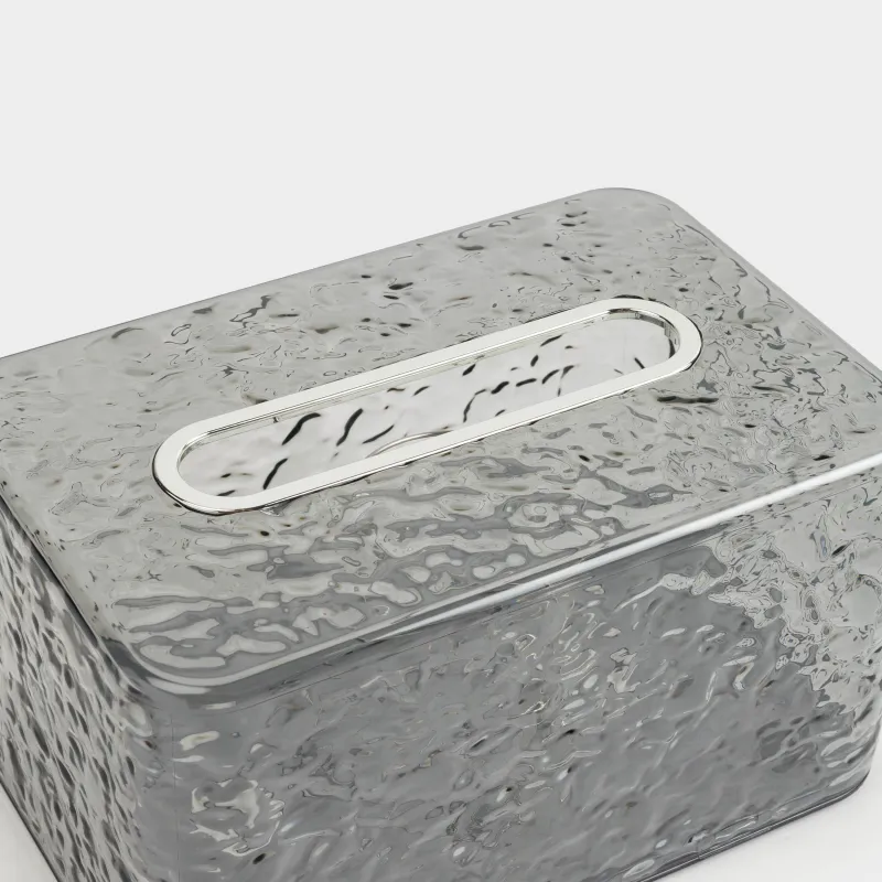 Бокс для бумажных салфеток, 19х12 см, с пружиной, пластик/металл, серый, Renaissance clear, image-3