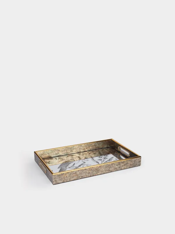 Науа, 25х40 см, пластик/шыны, тікбұрышты, айна, Құс, Bluebird, image-2