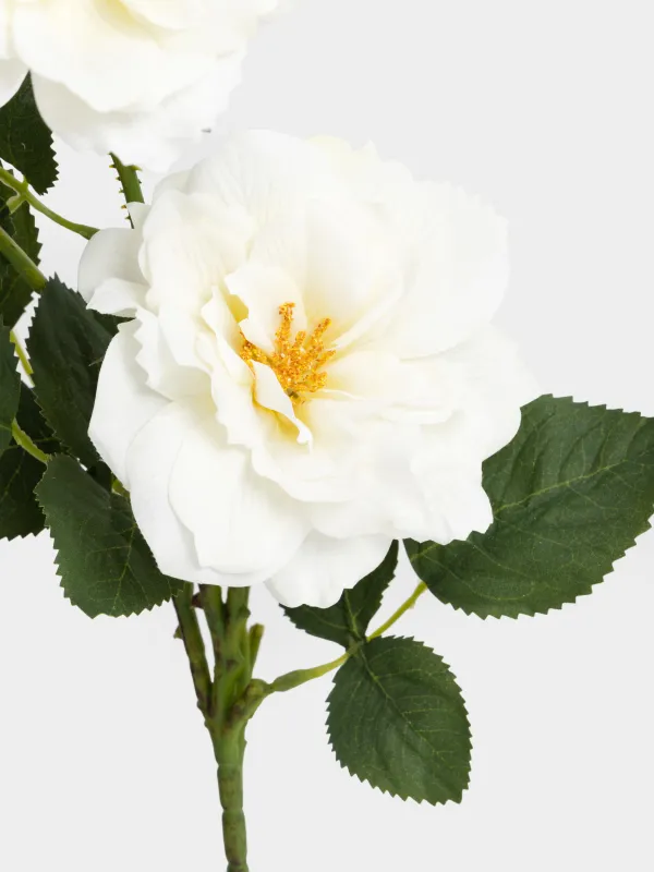 Сәндік бұтақ, 70 см, пластик/полиэстер, Ақ раушан, Flower garden, image-2