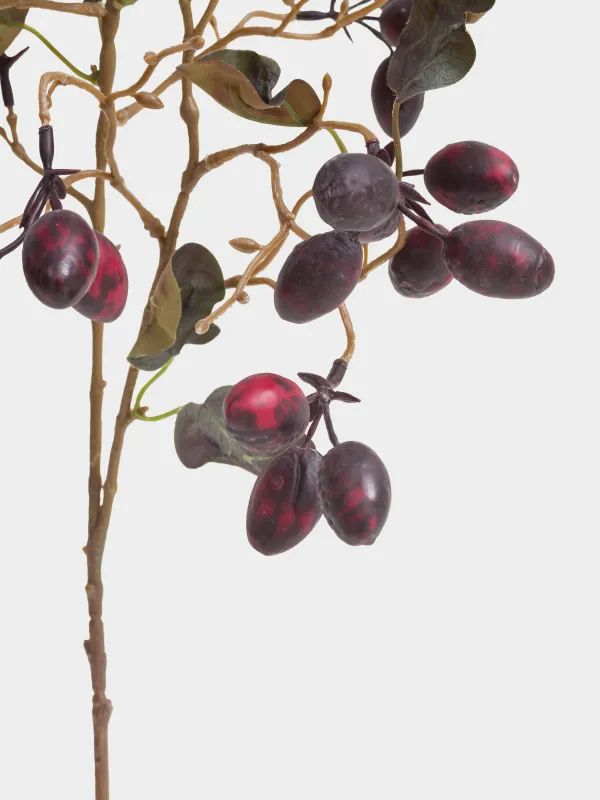 Сәндік бұтақ, 85 см, көбік/полиэтилен, Кизил, Fruit decor, image-2