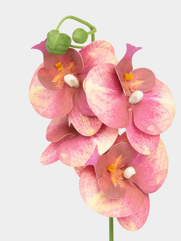 Жасанды өсімдік, 34 см, құмырада, TPE/керамика, Қызыл орхидея, Orchid, image-1