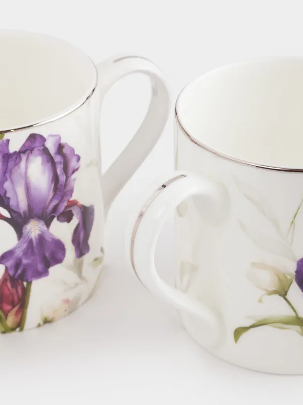 Кружка, 380 мл, 2 шт, фарфор F, белая, с серебристым кантом, Ирис, Antarctica Flowers, image-3