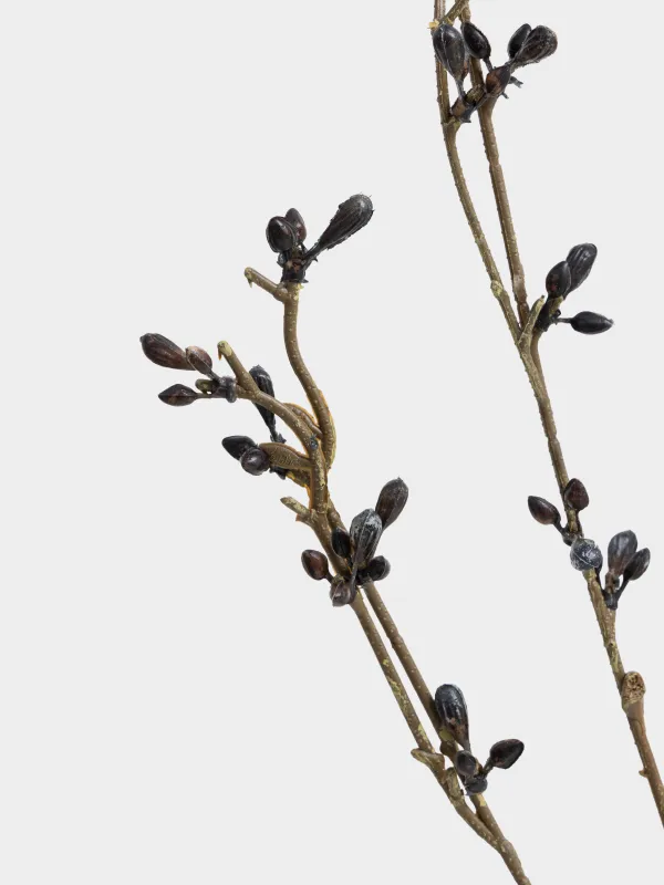 Ветка декоративная, 95 cм, Синие ягоды, Blue berry, image-3