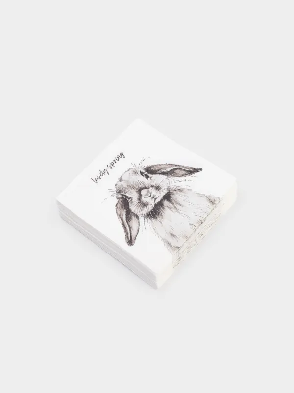 Салфетки бумажные, 21х21 см, 20 шт, Natural Easter, image-1