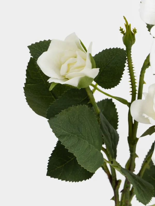 Сәндік бұтақ, 70 см, пластик/полиэстер, Ақ раушан, Flower garden, image-3