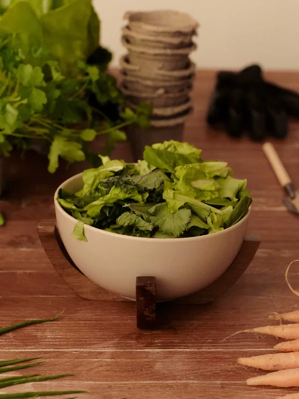 Салатник, 18х10 см, на подставке, Ceramo noble, image-6