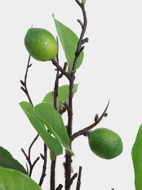 Ветка декоративная, 95 см, пенопласт/пластик, Лайм, Fruit decor, image-3