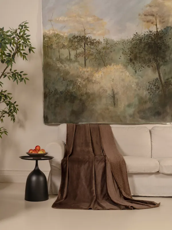 Жамылғы, 140х190 см, фланель, қоңыр, Flannel, image-4